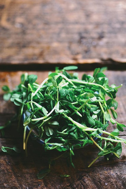 fenugreek mint and pea shoot pesto | A Brown Table