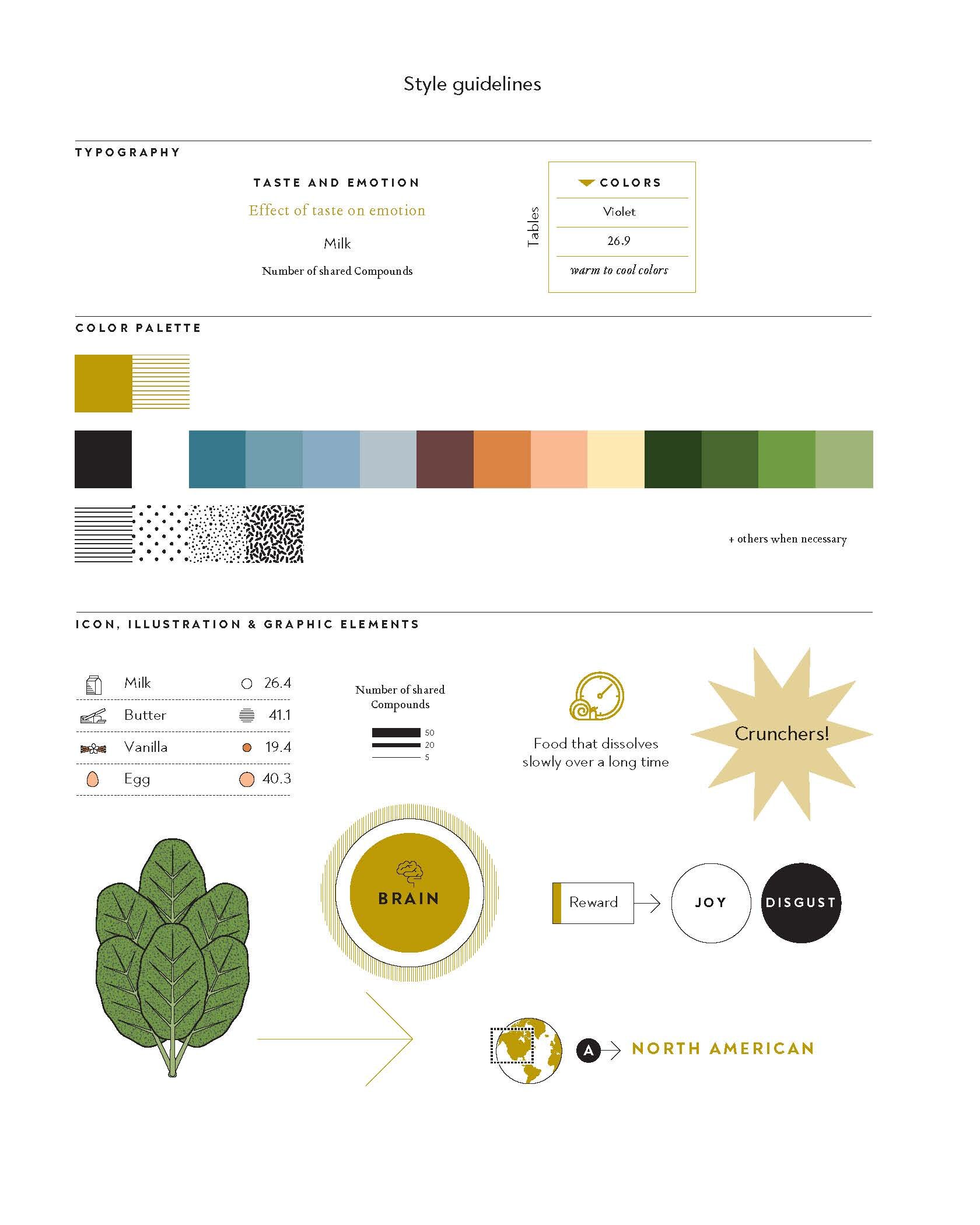 00 style guidelines For The Flavor Equation Nik Sharma