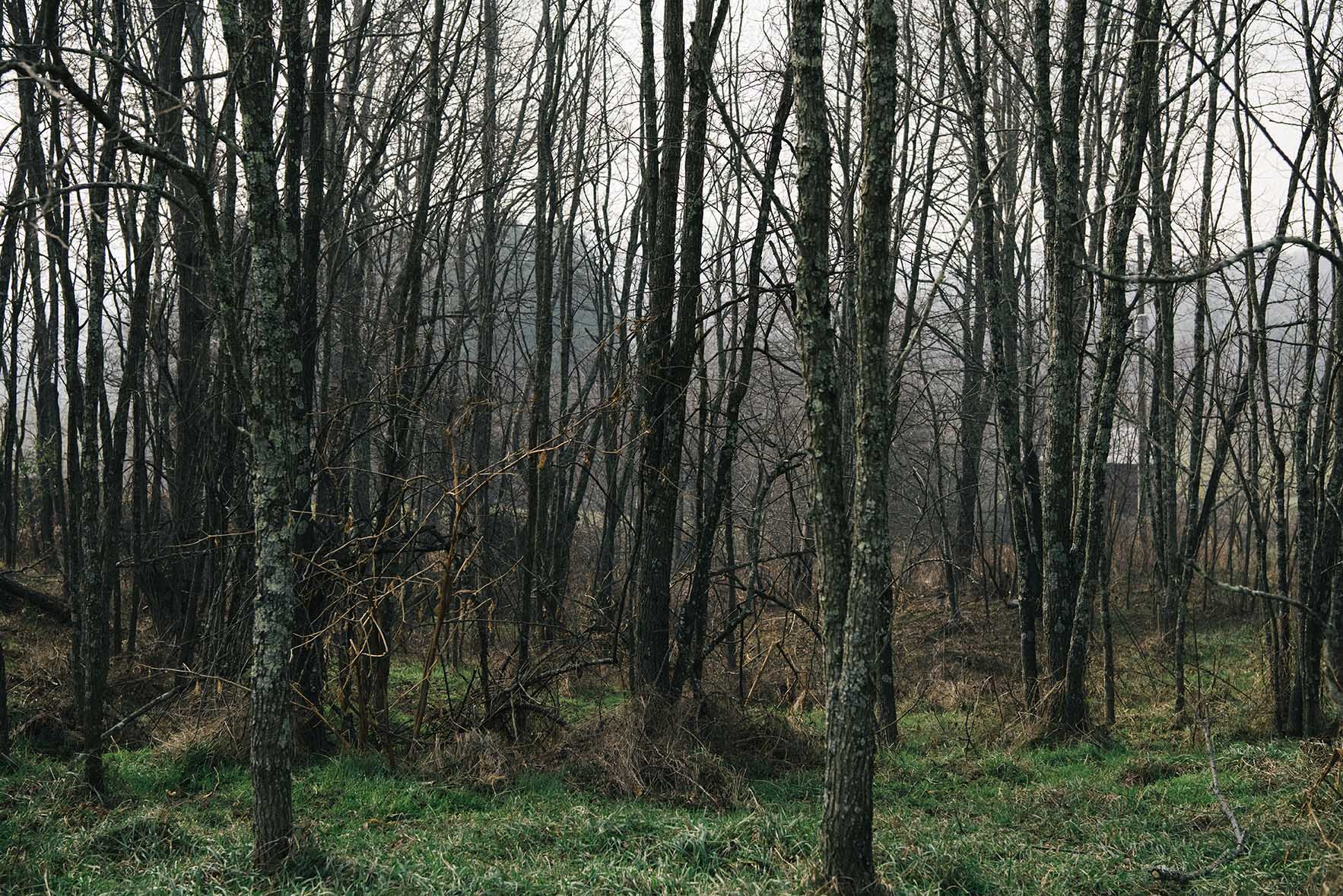 mouth of wilson, virginia| A Brown Table