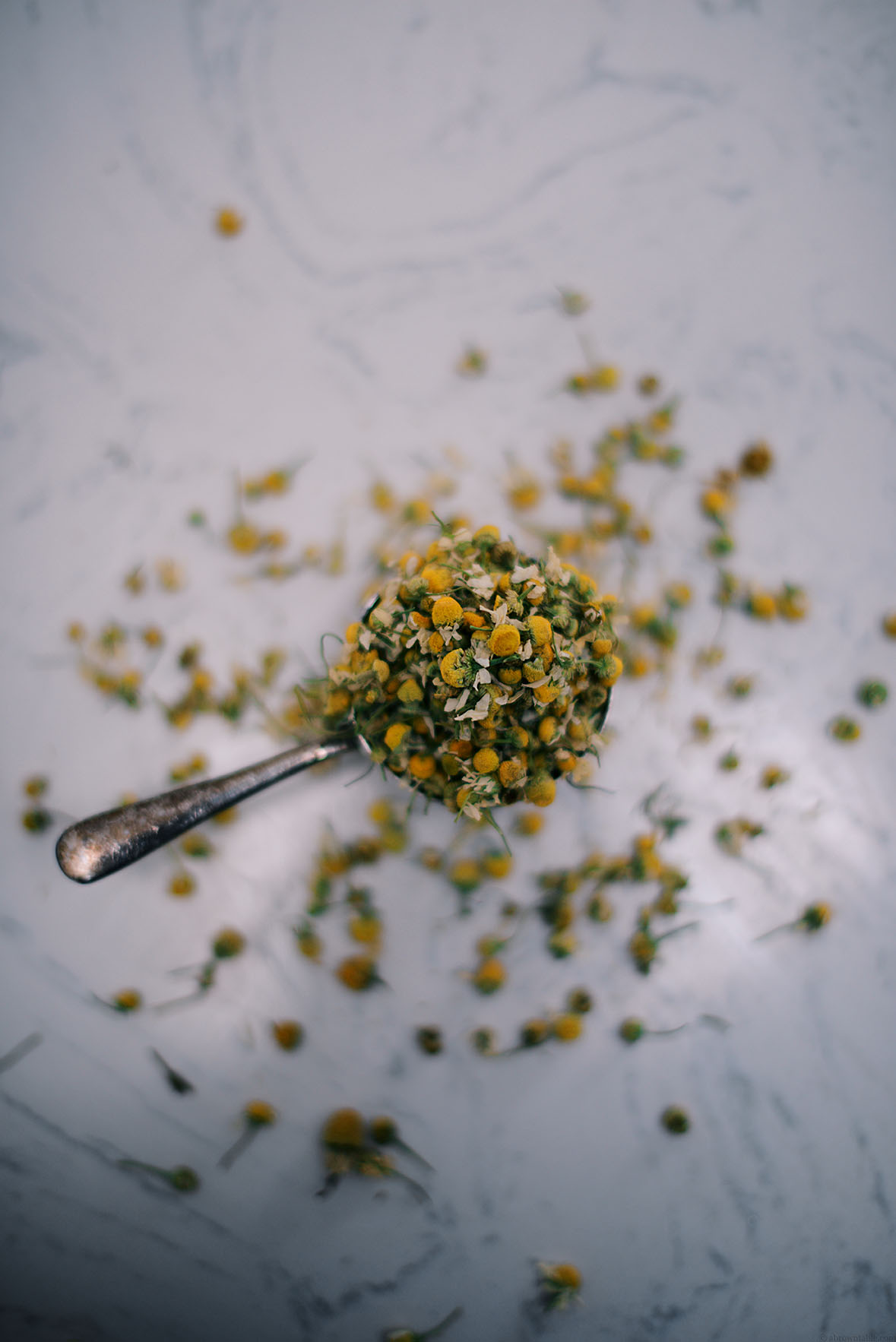 chamomile and long black pepper steamed bread pudding | A Brown Table