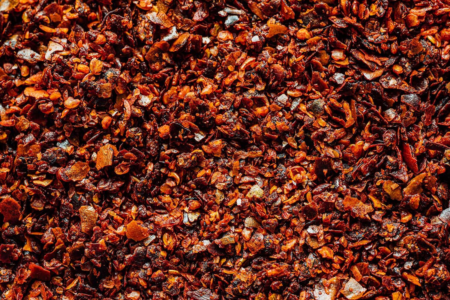 chillies+cover+photos+2DSC_88091._blogjpg