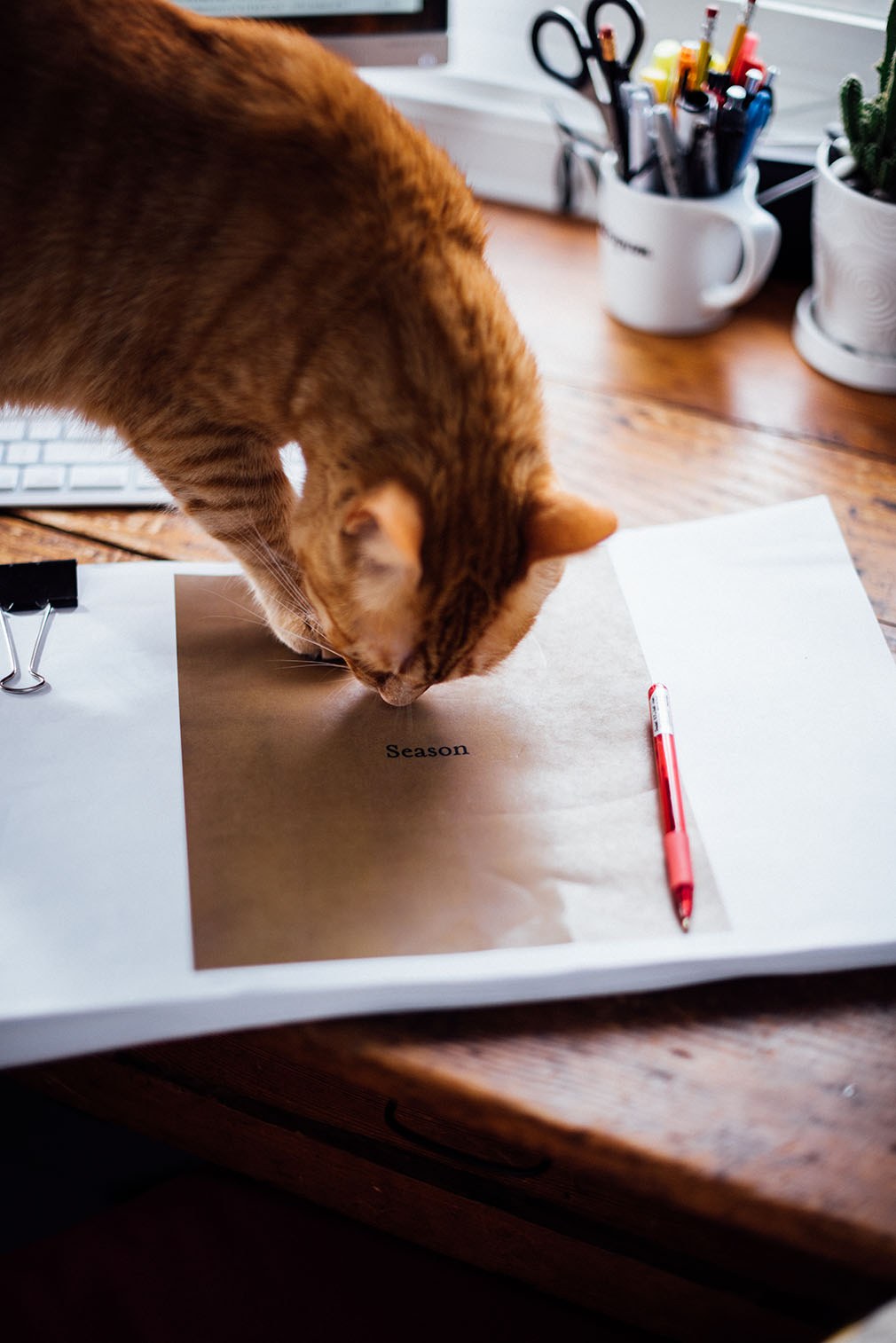 Season - The Book Diaries - Part II - Writing | Nik Sharma