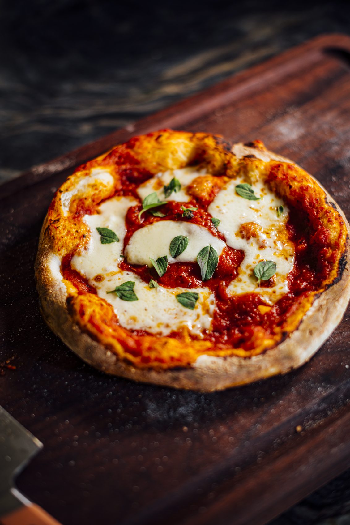 Direct Thin Crust Pizza/Modernist Pizza Everyday Flavor Nik Sharma